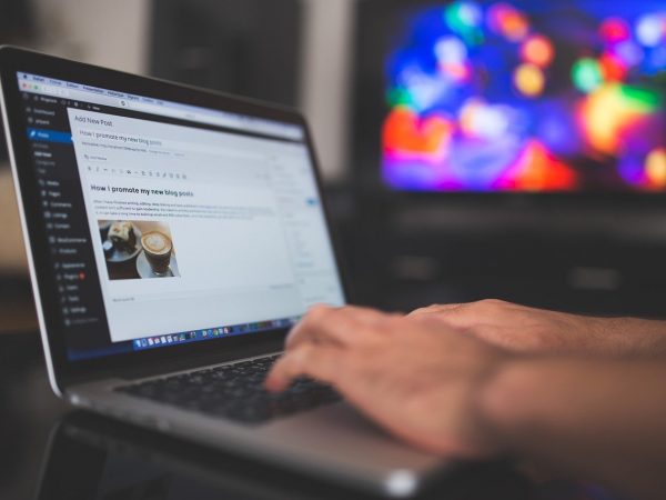 Usaha Menjanjikan dan Jangka Panjang Tanpa Modal? Cek Daftarnya Di Sini